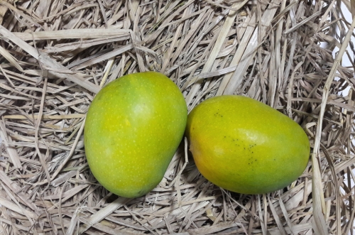 Alphonso Mango Image 3
