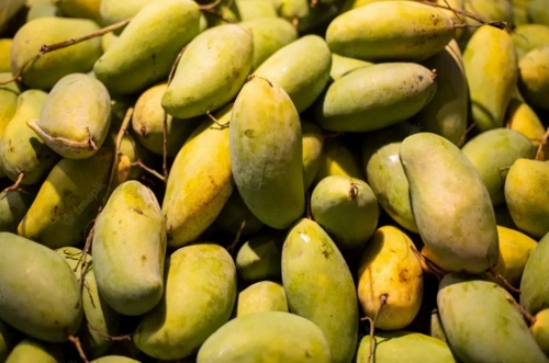 Alphonso Mango Image 1