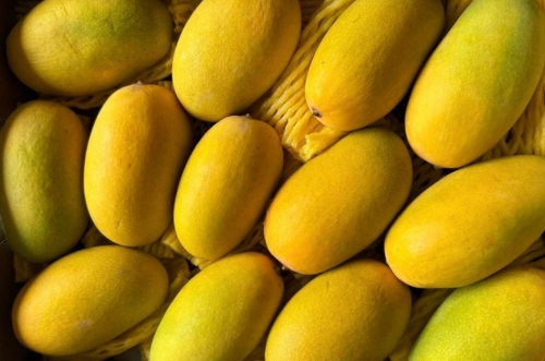 Alphonso Mango Image 2