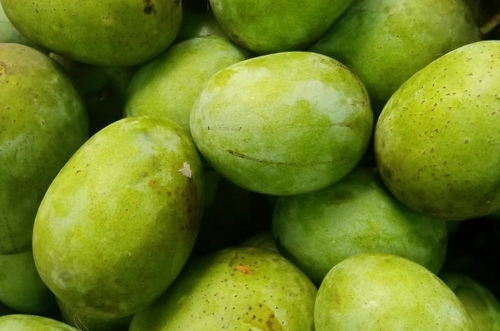 Alphonso Mango Image 3