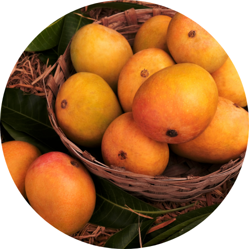 Mangoes