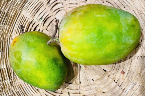 Alphonso Mango Image 1
