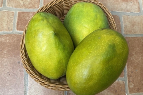 Alphonso Mango Image 2