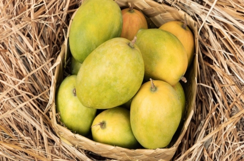Alphonso Mango Image 3