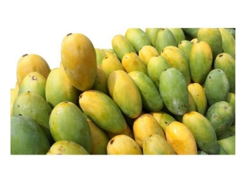 Dasheri Mango